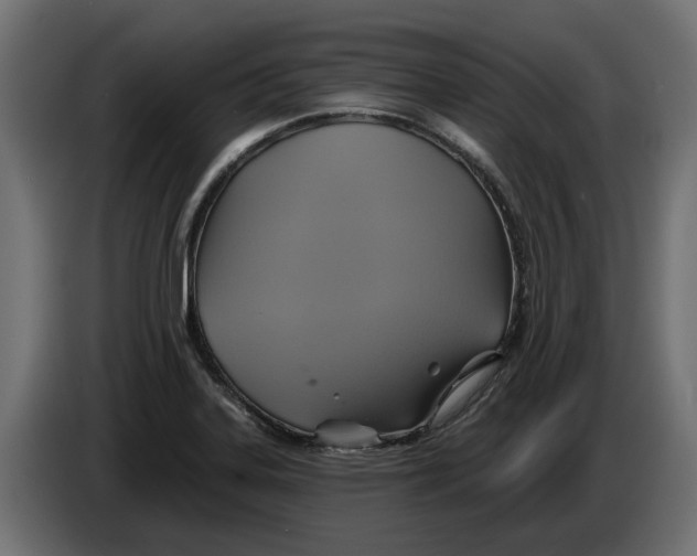 X0000086021323200704131841
