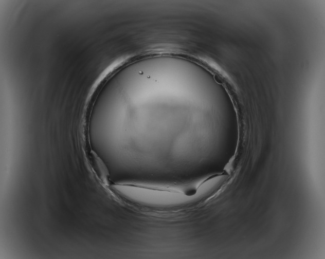 X0000086021325200704131841