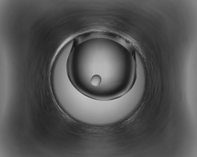 X0000086021326200704131841