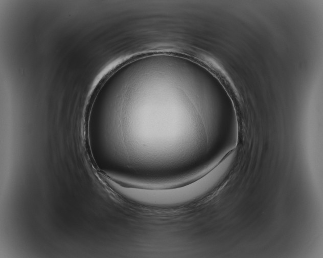 X0000086021328200704131841