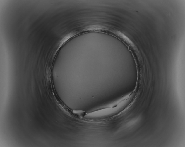 X0000086021329200704131841