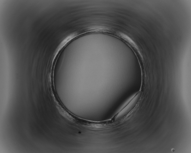 X0000086021330200704131841