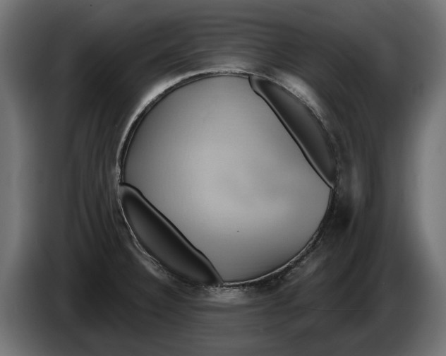 X0000086021332200704131841