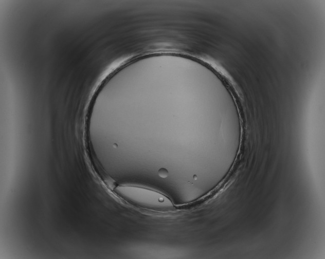 X0000086021333200704131841