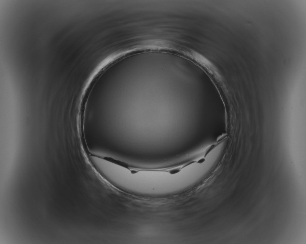 X0000086021334200704131841