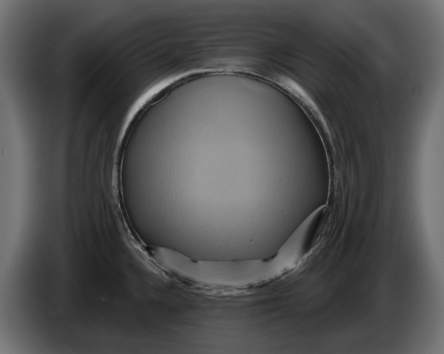 X0000086021336200704131841