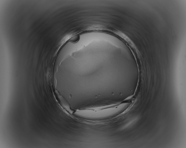 X0000086021337200704131841