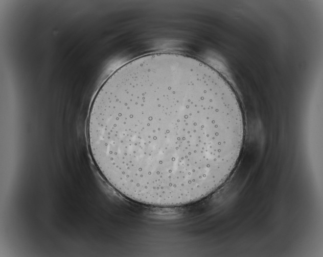 X0000086021338200704131841