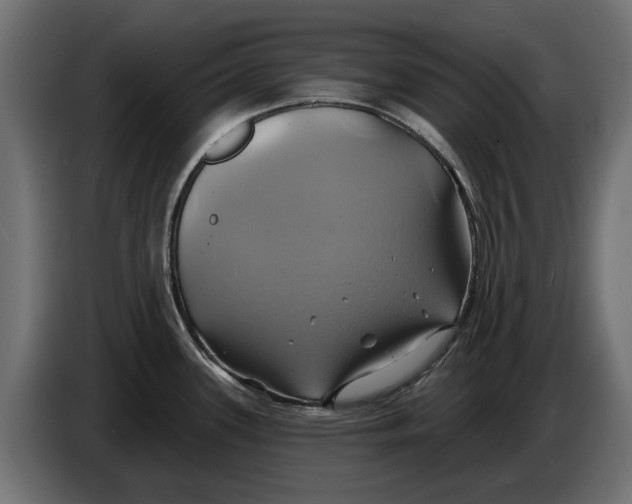 X0000086021339200704131841