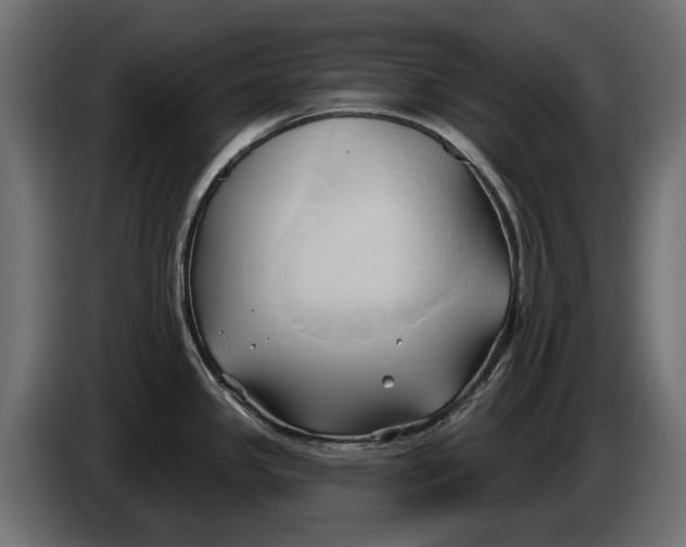 X0000086021341200704131841
