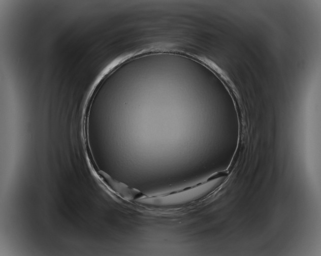 X0000086021342200704131841