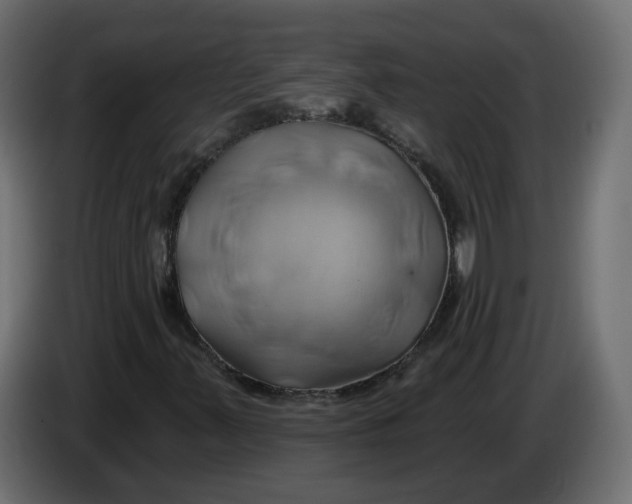 X0000086021347200704131841