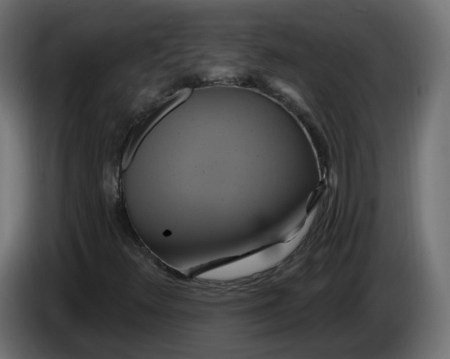 X0000086021348200704131841