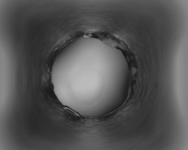 X0000086021349200704131841