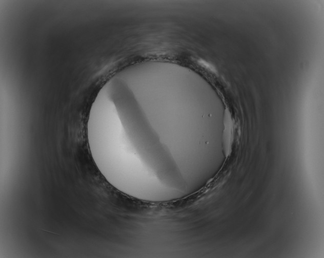 X0000086021350200704131841