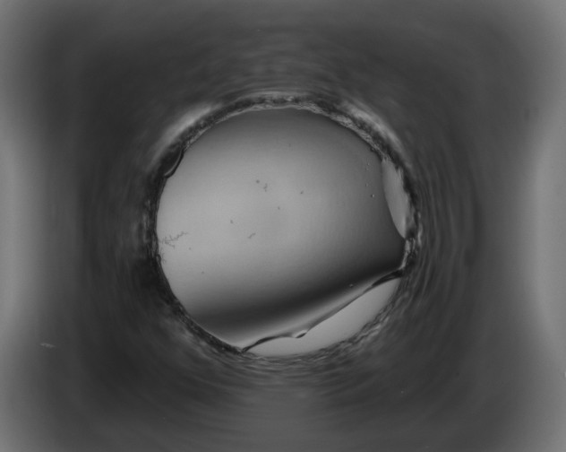 X0000086021352200704131841