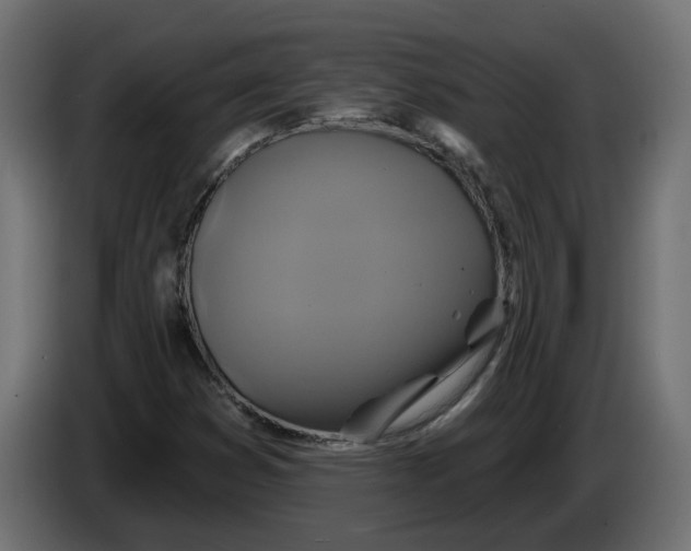 X0000086021353200704131841