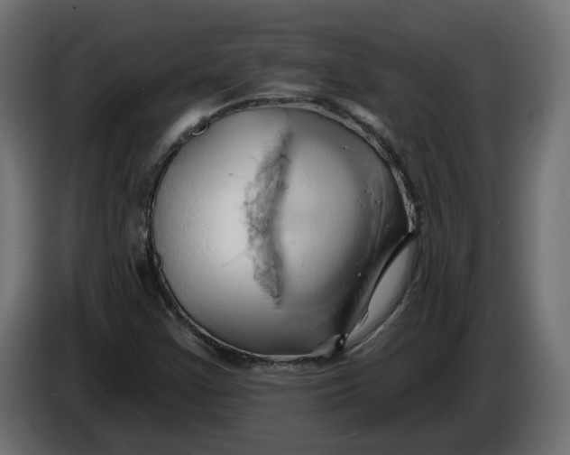 X0000086021355200704131841