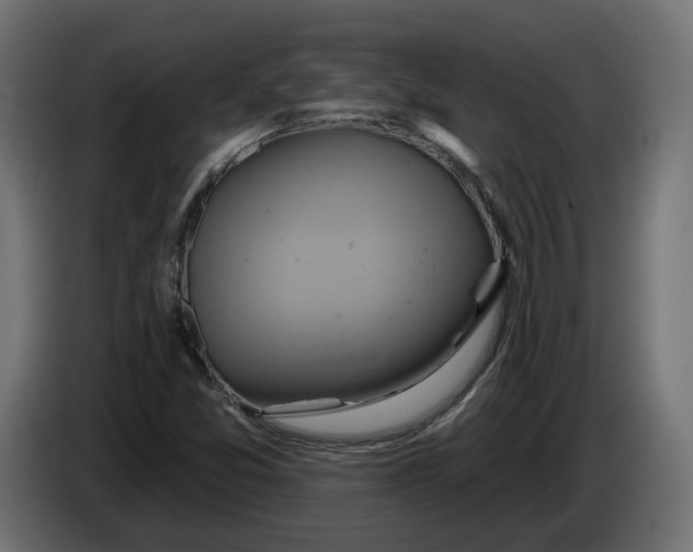 X0000086021357200704131840