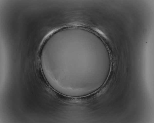 X0000086021358200704131840