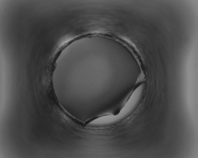 X0000086021359200704131840