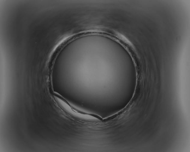 X0000086021360200704131840