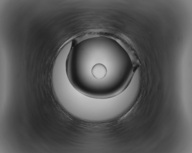 X0000086021361200704131840