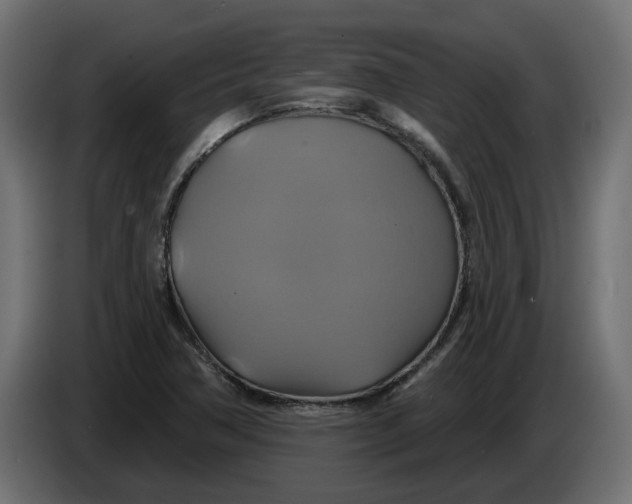 X0000086021362200704131840
