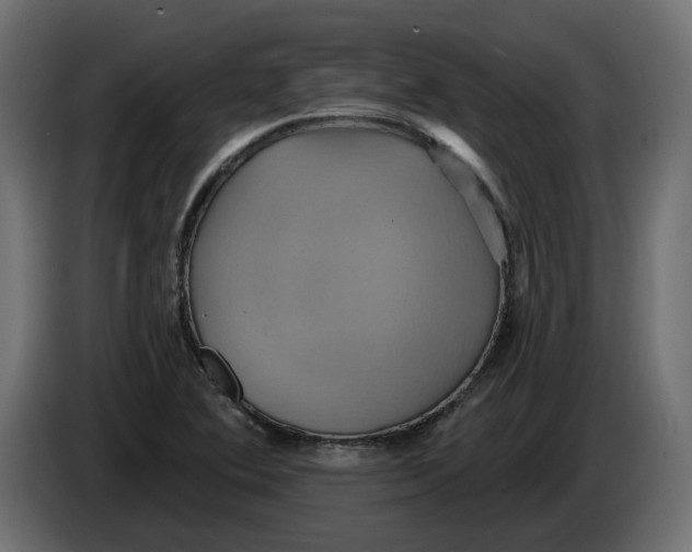 X0000086021364200704131840