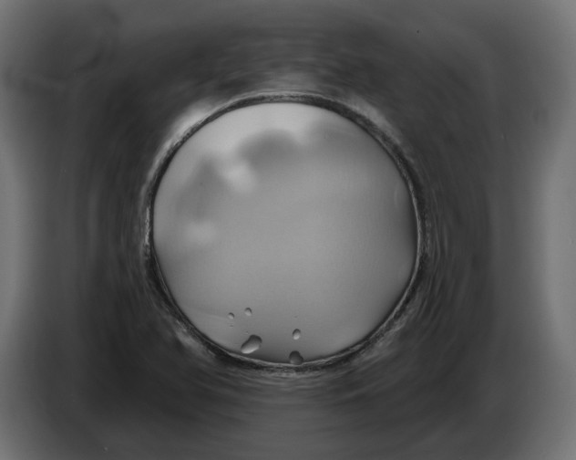 X0000086021366200704131840
