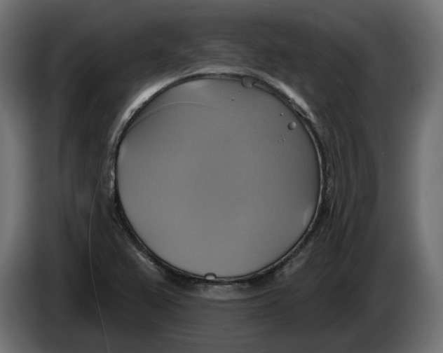 X0000086021367200704131840