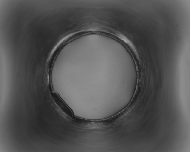 X0000086021368200704131840