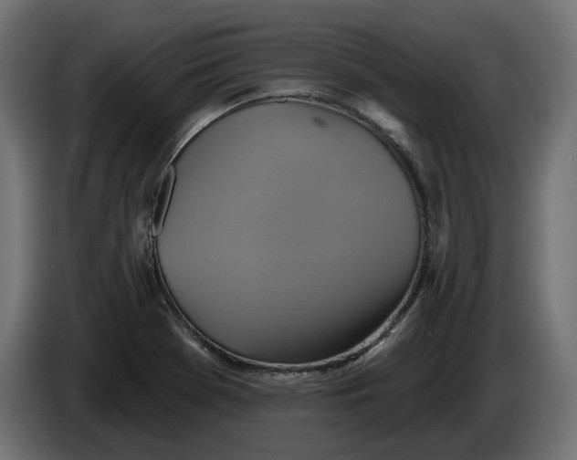 X0000086021369200704131840
