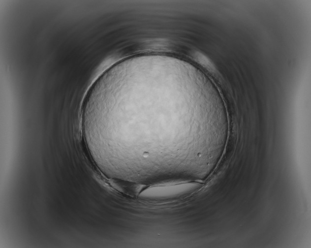 X0000086021370200704131840