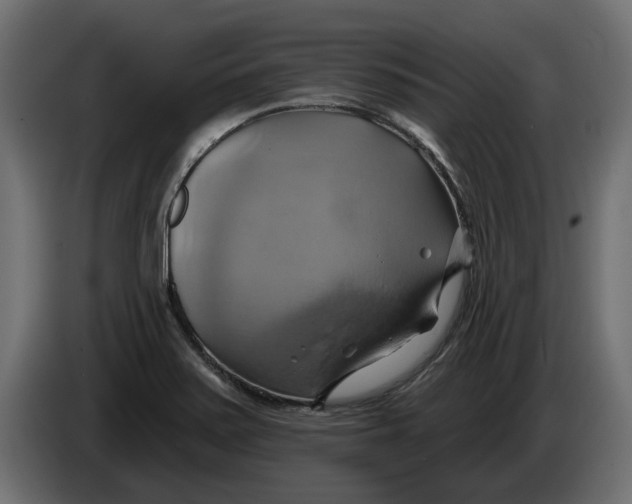 X0000086021371200704131840