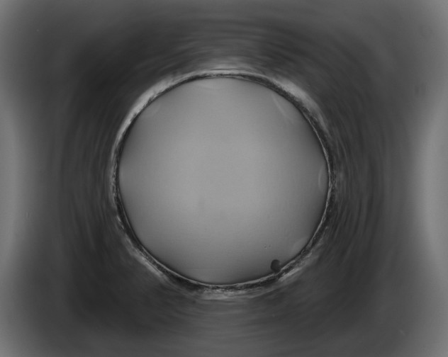X0000086021374200704131840