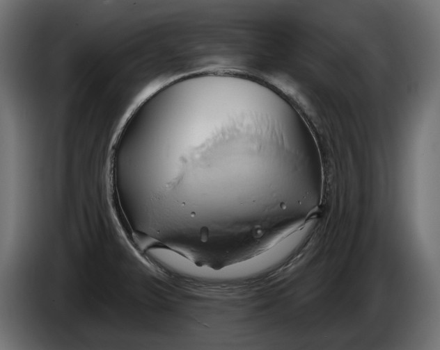 X0000086021375200704131840