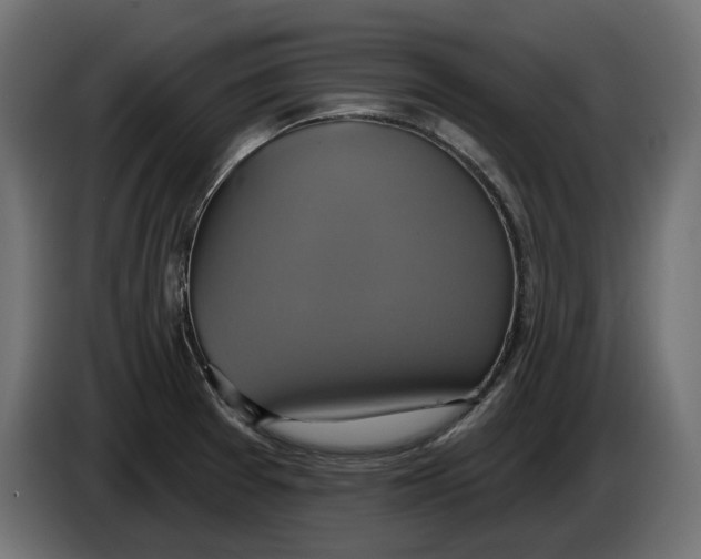 X0000086021377200704131840