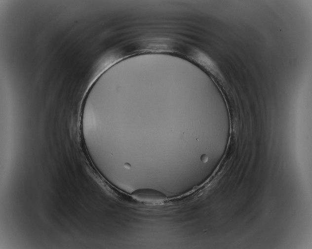X0000086021378200704131840