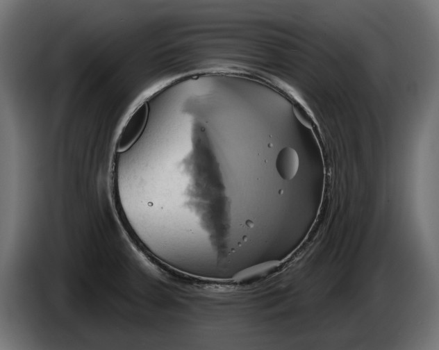 X0000086021379200704131840