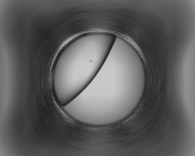 X0000086021380200704131840