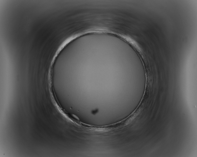 X0000086021382200704131840