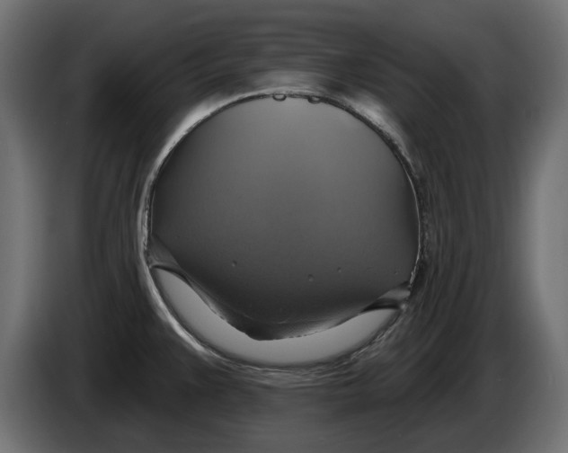 X0000086021383200704131840