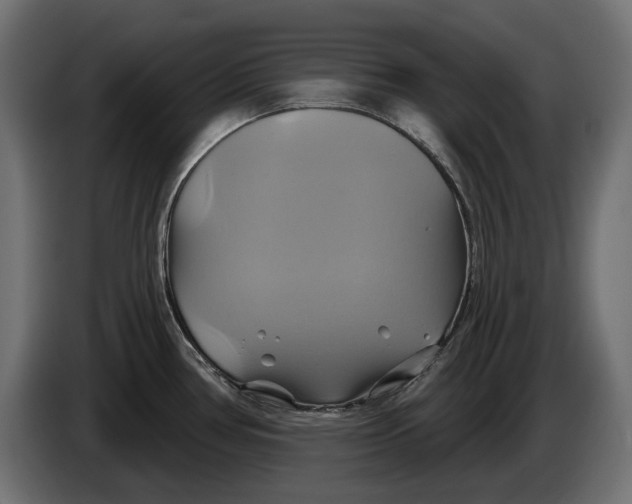 X0000086021386200704131840