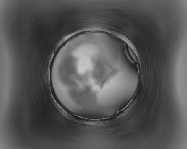 X0000086021388200704131840
