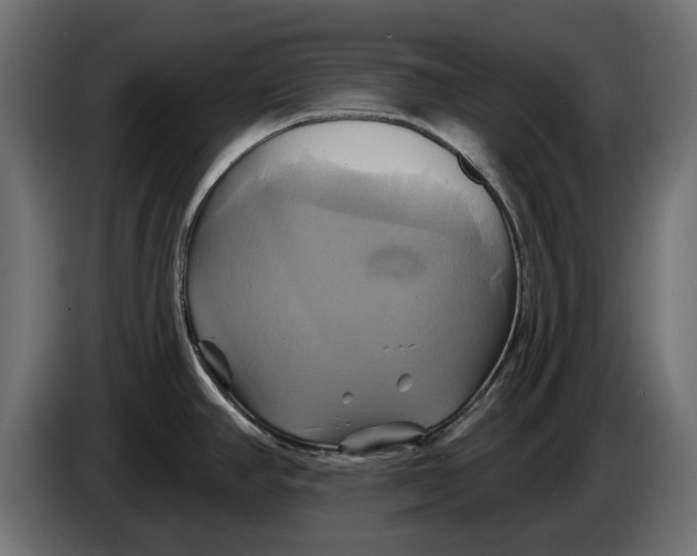 X0000086021390200704131840