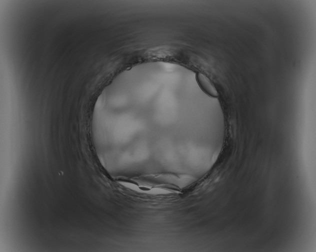 X0000086021393200704131839
