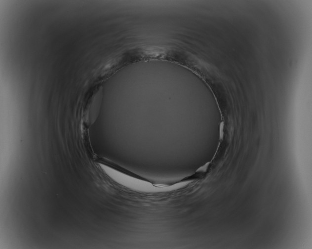 X0000086021394200704131839