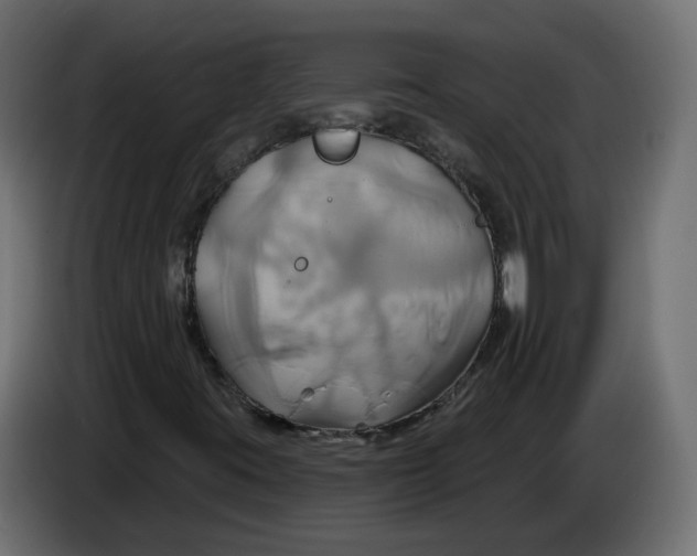 X0000086021395200704131839