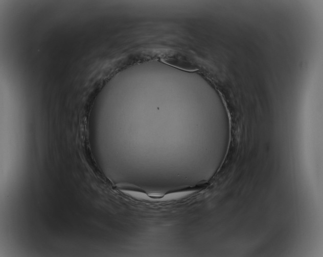 X0000086021397200704131839